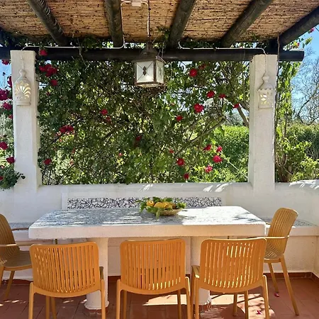 Golfe - Shared Pool - 7 Pax - * Vilamoura