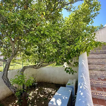 Vila Golfe - Shared Pool - 7 Pax - Vilamoura